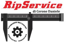 RIP SERVICE DI CERONE DANIELE